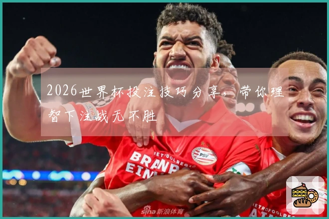 2026世界杯投注技巧分享，带你理智下注战无不胜