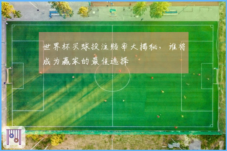 世界杯买球投注赔率大揭秘,谁将成为赢家的最佳选择