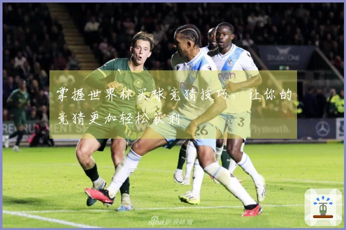 掌握世界杯买球竞猜技巧,让你的竞猜更加轻松获利