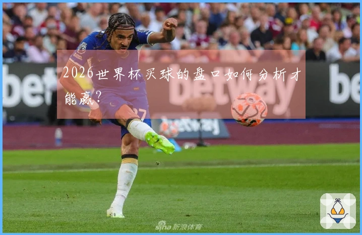 2026世界杯买球的盘口如何分析才能赢？