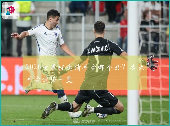 2026世界杯竞猜平台哪个好？各大平台优势一览